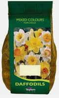 Taylors Bulbs Narcissus Species Mixed (50)