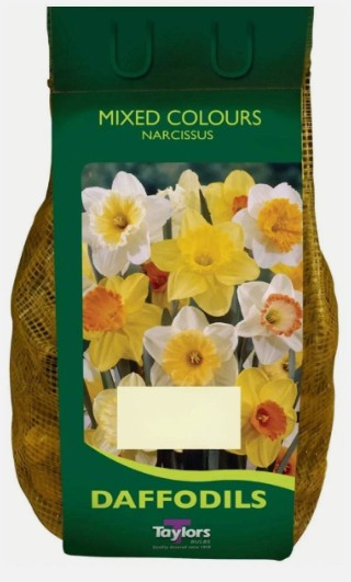 Taylors Bulbs Narcissus Species Mixed (50)