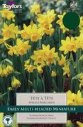 Taylors Bulbs Narcissus 'Tete A Tete' XL Pack (18)