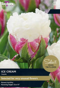 Taylors Bulbs Tulip 'Ice Cream' 5