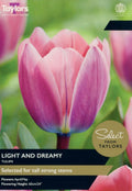 Taylors Bulbs Tulip 'Light and Dreamy' 8