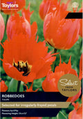 Taylors Bulbs Tulip 'Robbedoes' 6