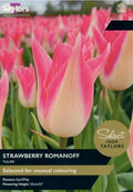 Taylors Bulbs Tulip 'Strawberry Romanoff' 7