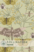 Thompson & Morgan Kew 'Fennel' seeds